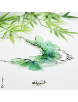 Papillon Actias Luna