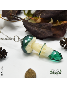 Champignon Canamelia