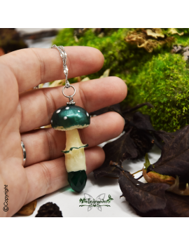 Champignon Canamelia