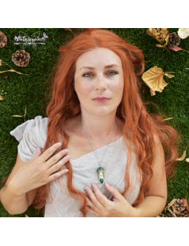 Champignon Canamelia