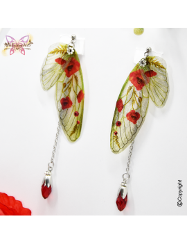 Fairy Coquelia d'Eté - AUGUST