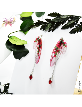 Fairy Roses Rubis - MAY