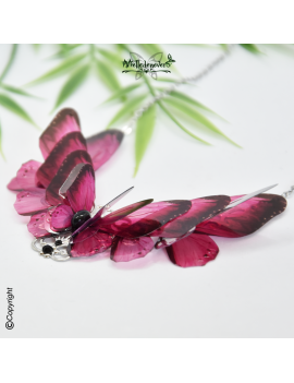 Papillon Fuschia